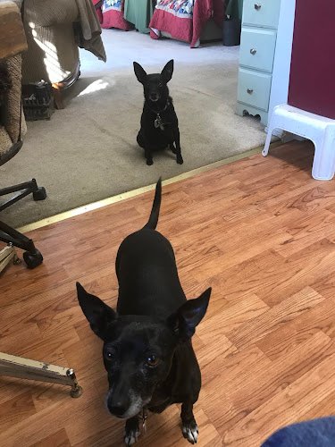 29505 the cleaning authority 8211 sacramento 1