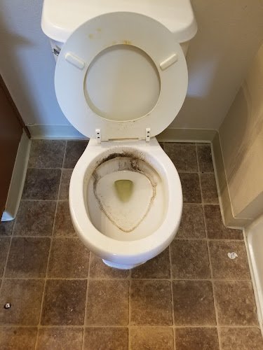 29567 rm cleaning services 1