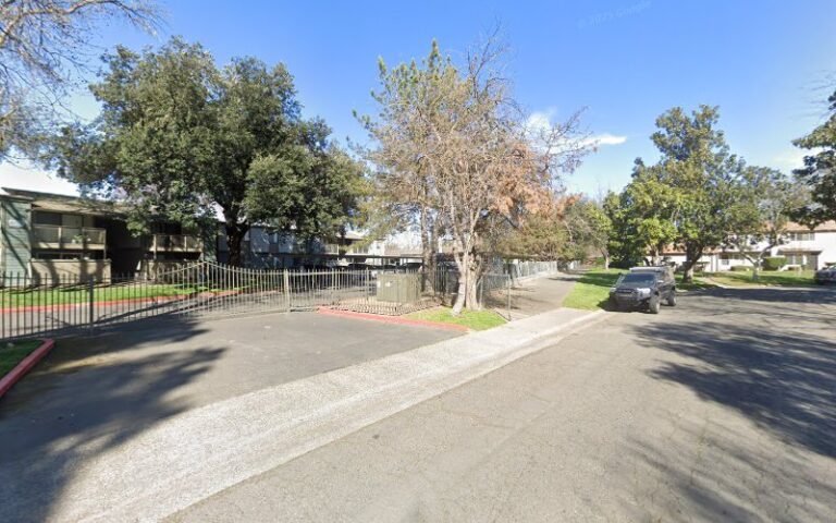 29591 maid brush 1 768x480