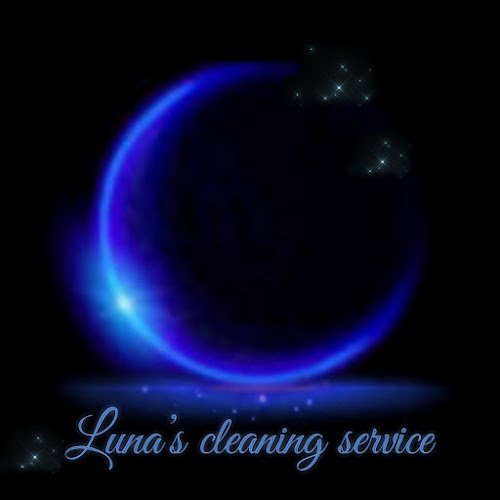 29600 lunas cleaning service 1