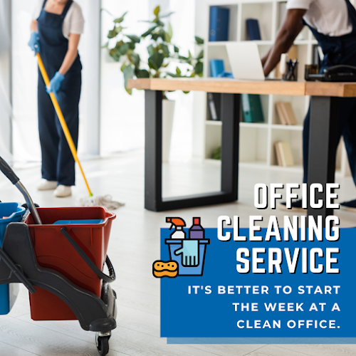 29796 rite touch maids 1