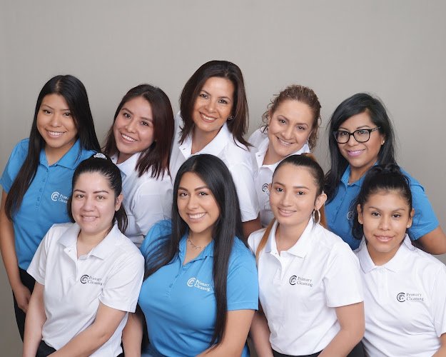 29858 primary cleaning services of greater kansas city 1