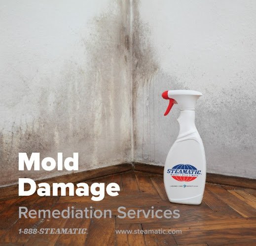 29941 steamatic of kansas city