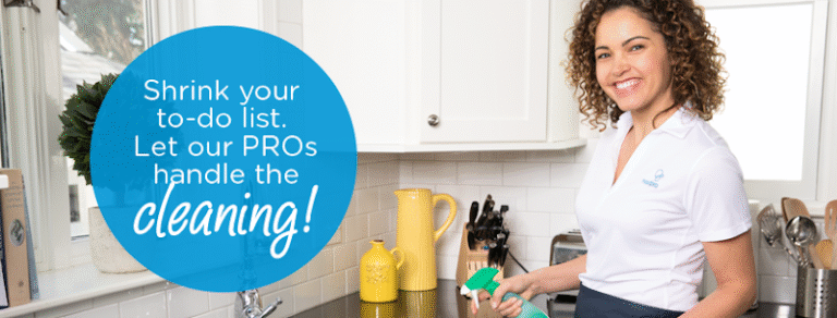 30314 maidpro of the triangle 768x292