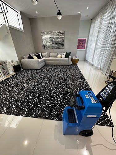 30494 miami elite maids 1