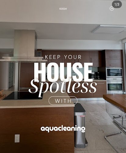 30518 aqua clean miami 1