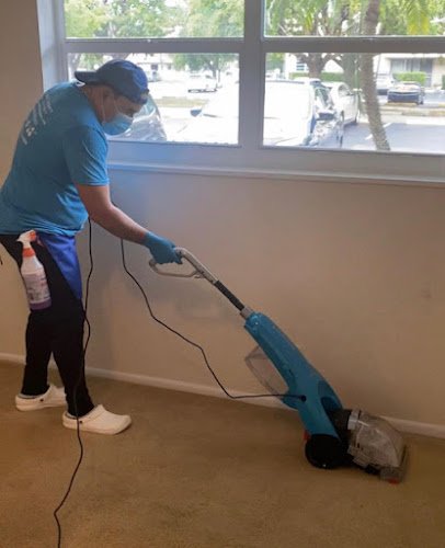 30536 miami cleanings 1