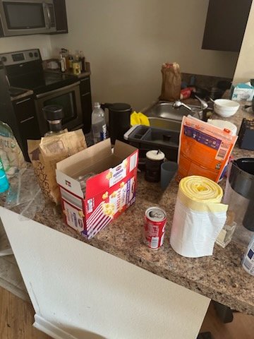 30665 squeaky clean squad 1