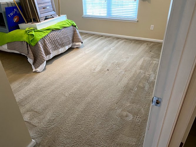 30850 dr. spot carpet cleaning flooring virginia beach 1