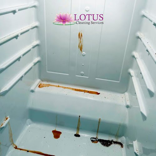 30894 lotus cleaning services 1