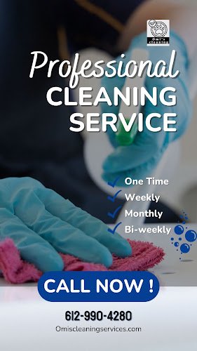 31060 omis cleaning services 1