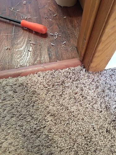 31139 minnesota cleaning restoration