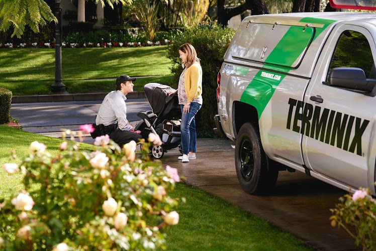 3114 terminix triad 1