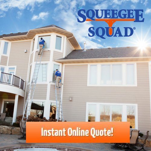 31243 squeegee squad 1