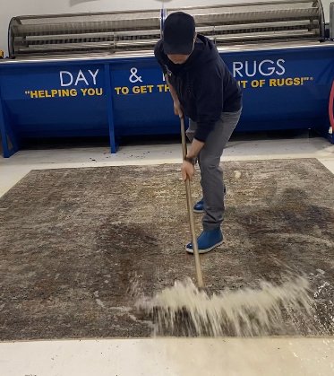 31283 day nite rugs 1