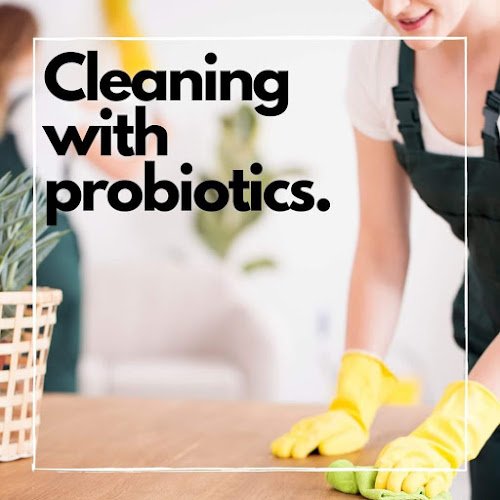 31292 organically maid 1