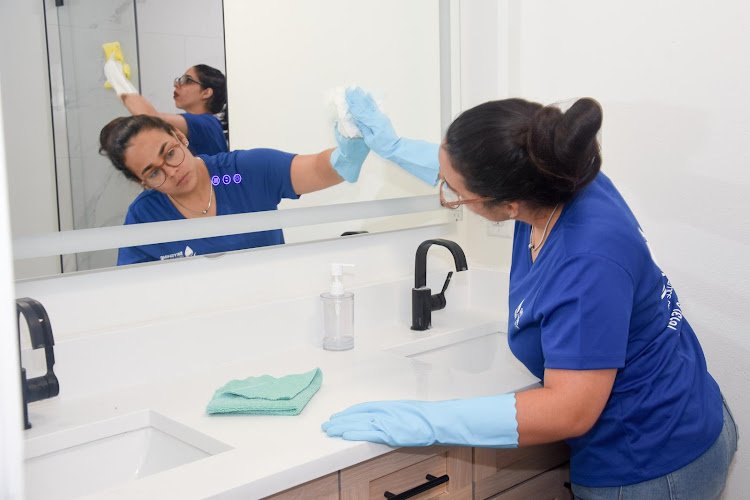 31387 skyshine cleaning solutions 1