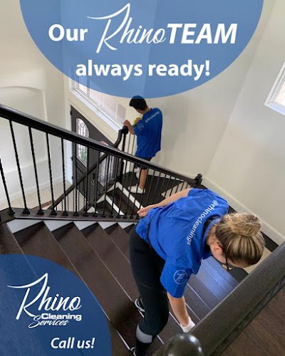 31423 rhino cleaning services 1