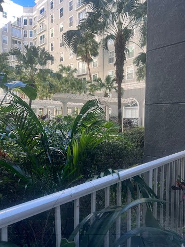 31449 minute maids house cleaning 1