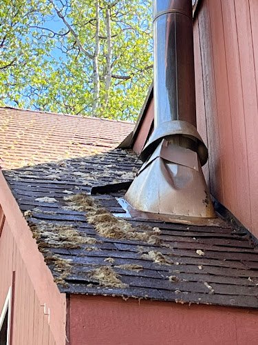 3153 the moss busters of alaska llc 1