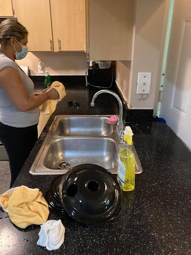 31541 lago cleaning services llc 1