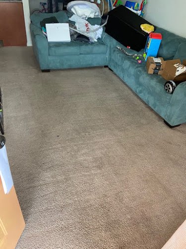 31638 the root cleaning service llc