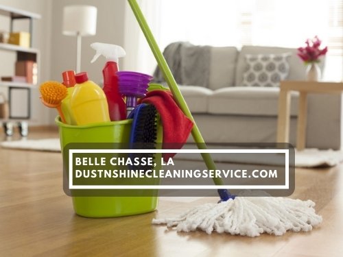 31647 dust n shine cleaning service residential apartment bathroom cleaning