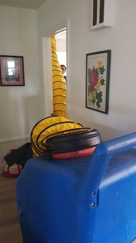 31668 ah choo indoor air quality specialists 1