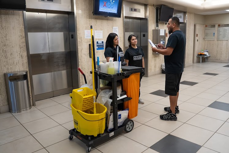 31736 harris dream clean 1