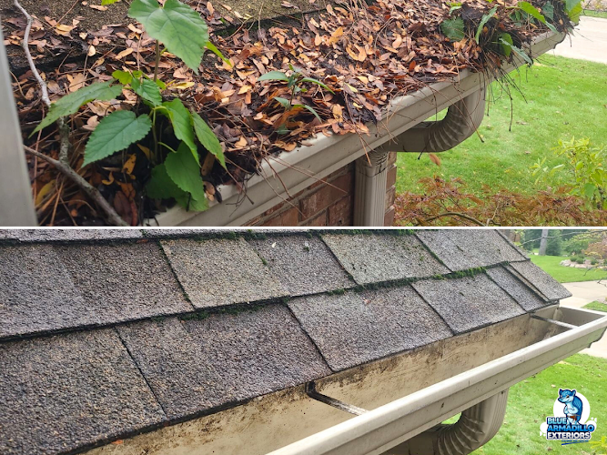 3174 blue armadillo exterior cleaning