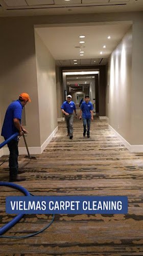 31794 vielmas carpet cleaning