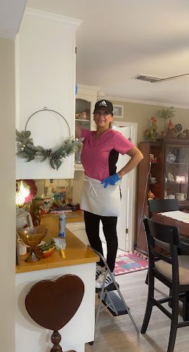 31831 fairy dust cleaning 1