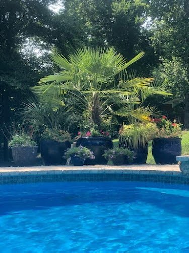 31866 bakersfield pool cleaning service