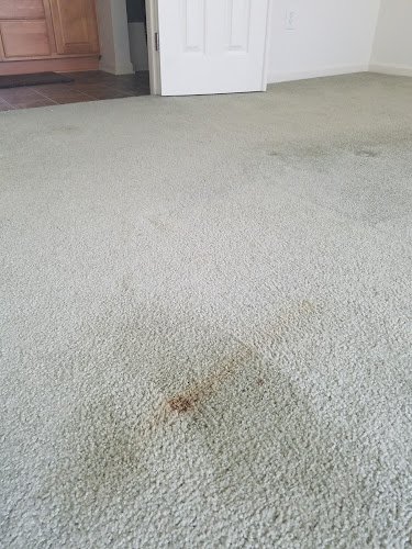 32013 prestigious universal cleaners llc 1