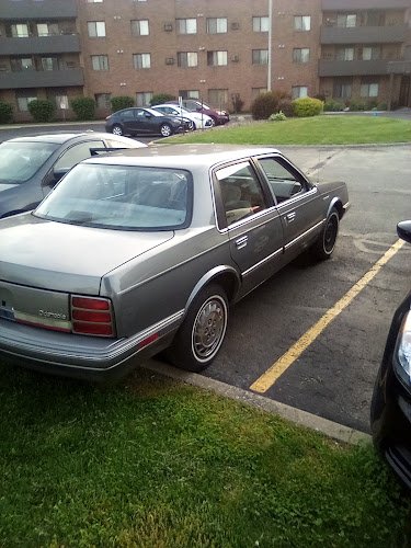 32025 viktoriyas home essential assistant ️ 1