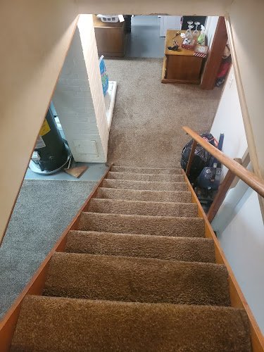 32031 organic green carpet clean 1