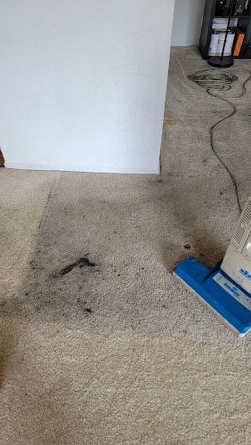 32164 xllnt carpet care 1