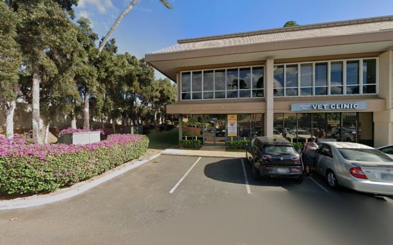 32227 bright cleaning services corp 768x480