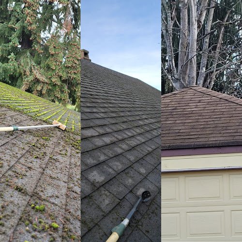 32798 prestige window cleaning llc 1