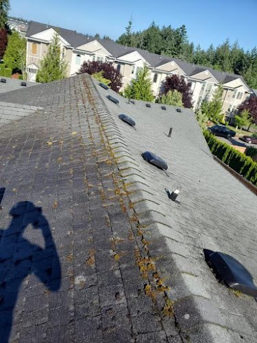 32815 magic services llc 1