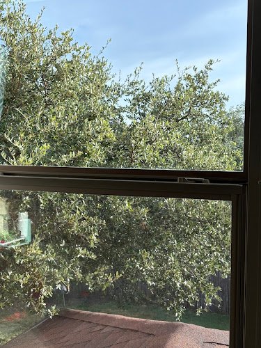 33028 clear choice window cleaning 1