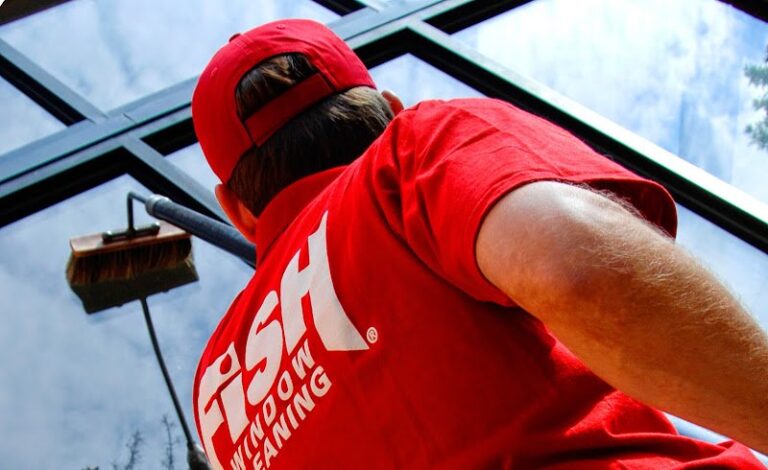 3316 fish window cleaning 33 768x470