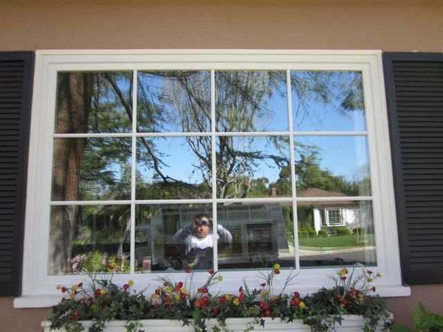 33341 renewal by andersen of los angeles 1