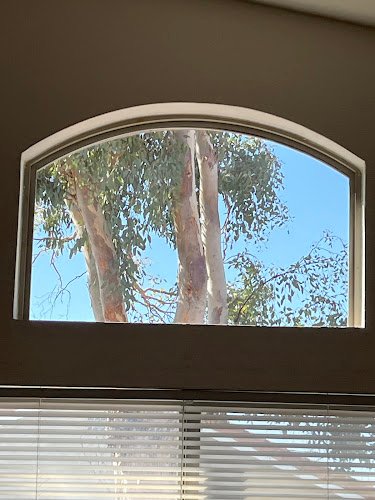 35376 delux windows and glass