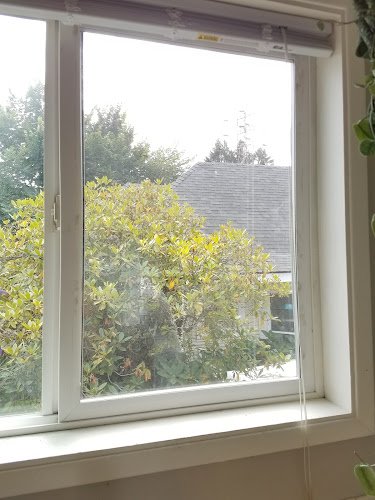 35551 trinity glass and shower doors llc