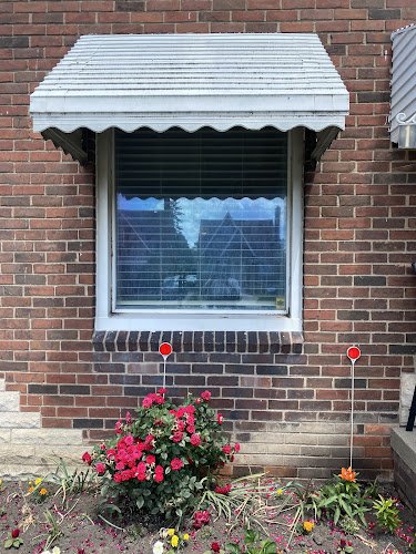 35569 metro detroit window repair 1