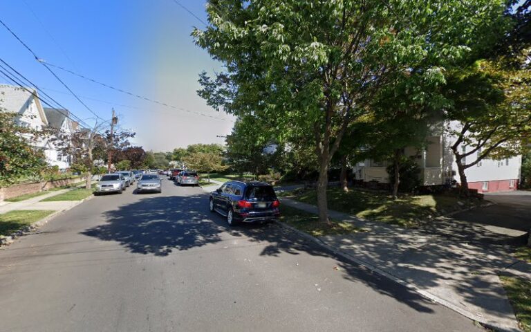 3663 a cash gutter cleaning animal 1 768x480