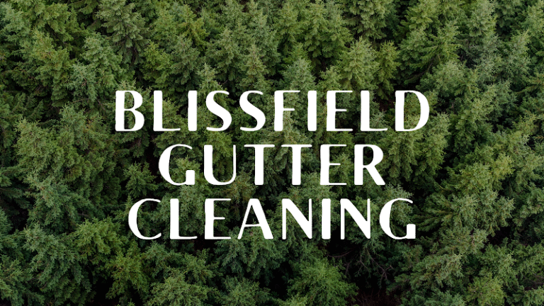 3738 blissfield gutter cleaning 768x432
