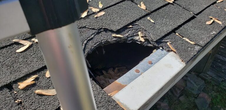 37891 sargent home inspections 1 768x373