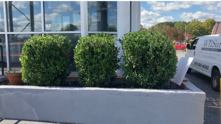 3907 wilsun cleaning services 1 768x432